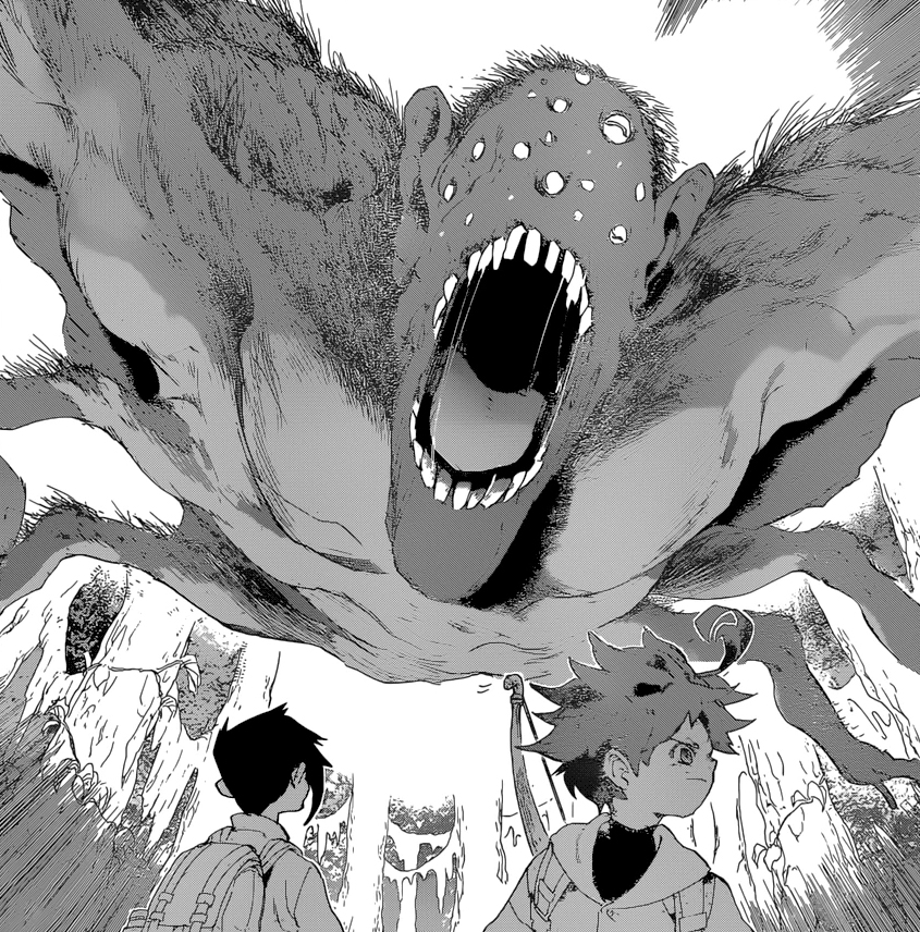 The Promised Neverland